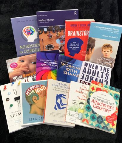 Trauma Informed Schools Key Texts Library Best Buy Pack